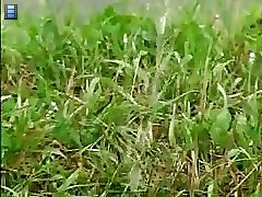 12 free voyeur movies