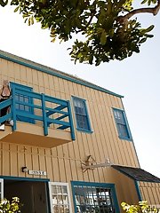 8 free voyeur pictures