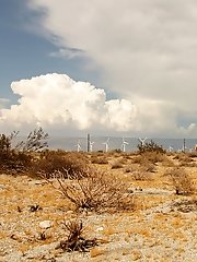 8 free voyeur pictures