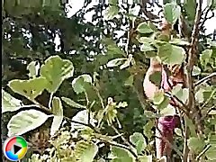 12 voyeur movies