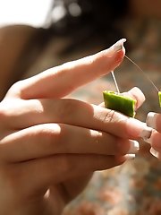 8 free voyeur pictures