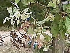 Perverted teen flasher caught pissing in the park Part 1